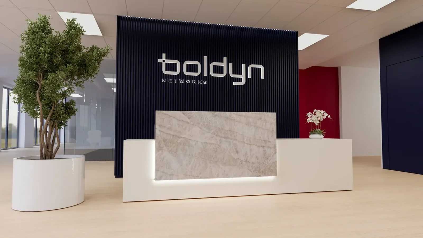 Boldyn Networks reception